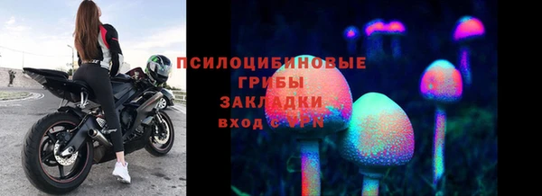 МДПВ Арсеньев